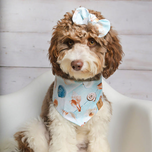 Seashells Dog Bandana