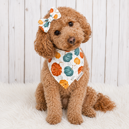 Pumpkin Harvest Dog Bandana