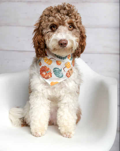 Pumpkin Harvest Dog Bandana