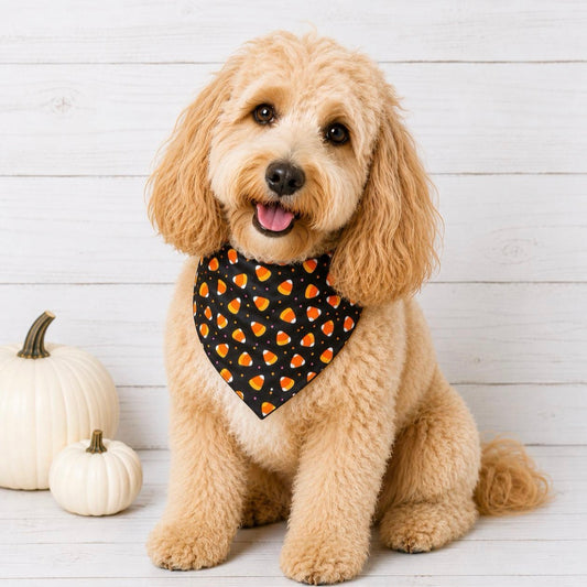 Halloween Candy Corn Dog Bandana