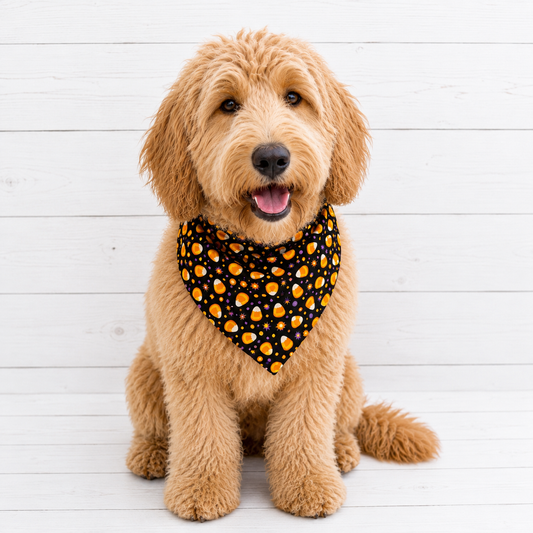 Halloween Candy Corn Dog Bandana