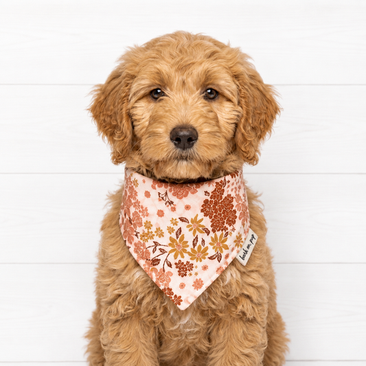 Boho Floral Dog Bandana