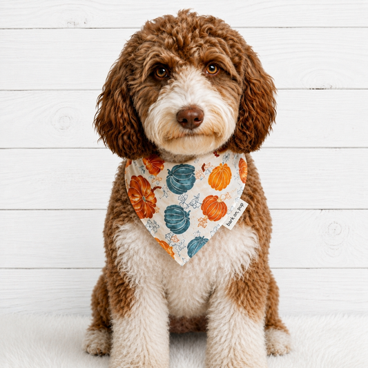 Pumpkin Harvest Dog Bandana
