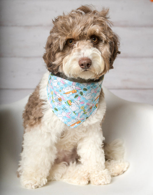 Easter Bunny Dog Bandana