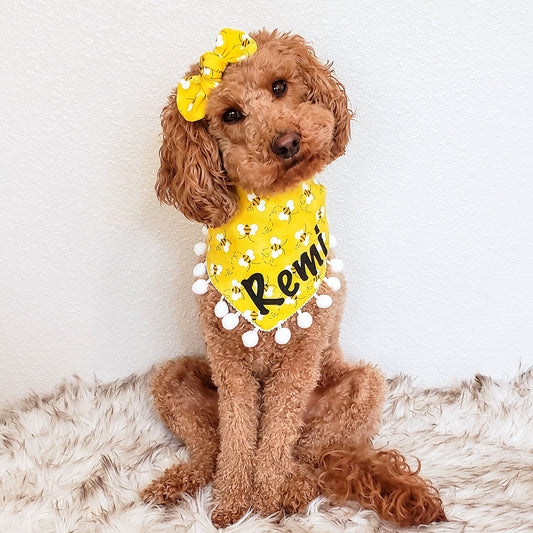 Small dog wearing personalized bee-themed dog bandana with pom poms – cute handmade pet accessory
