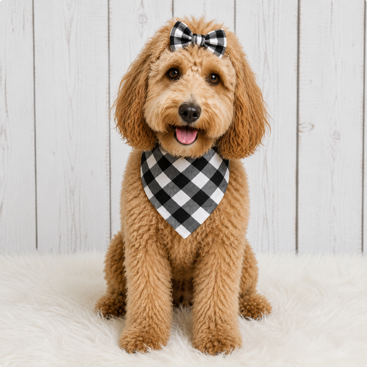 Black Buffalo Dog Bandana