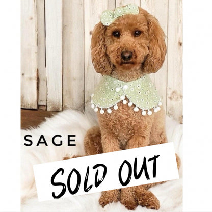 Girls Cape with Pom Poms Dog Bandana