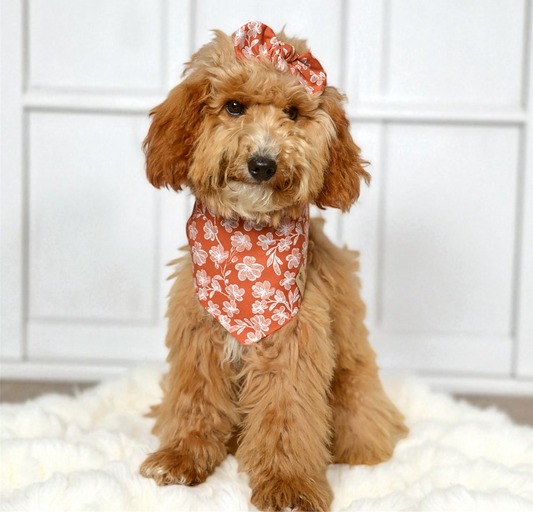 Rust Floral Dog Bandana