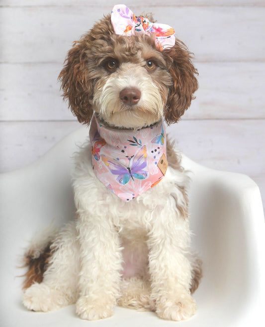 Sweet Butterfly Dog Bandana