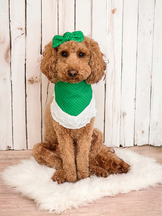 Green Houndstooth Dog Bandana with Lace