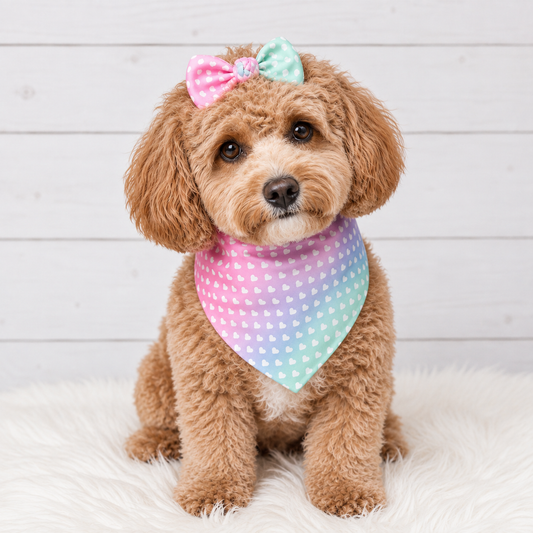 Ombre Hearts Dog Bandana
