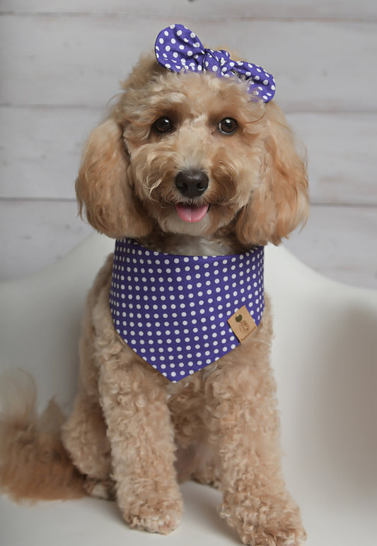 Purple Polka Dot Dog Bandana