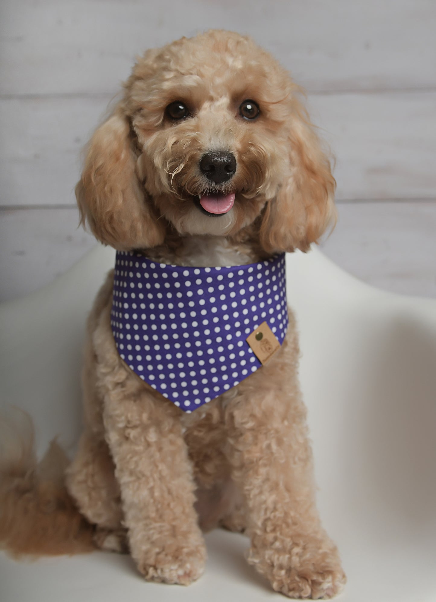 Purple Polka Dot Dog Bandana