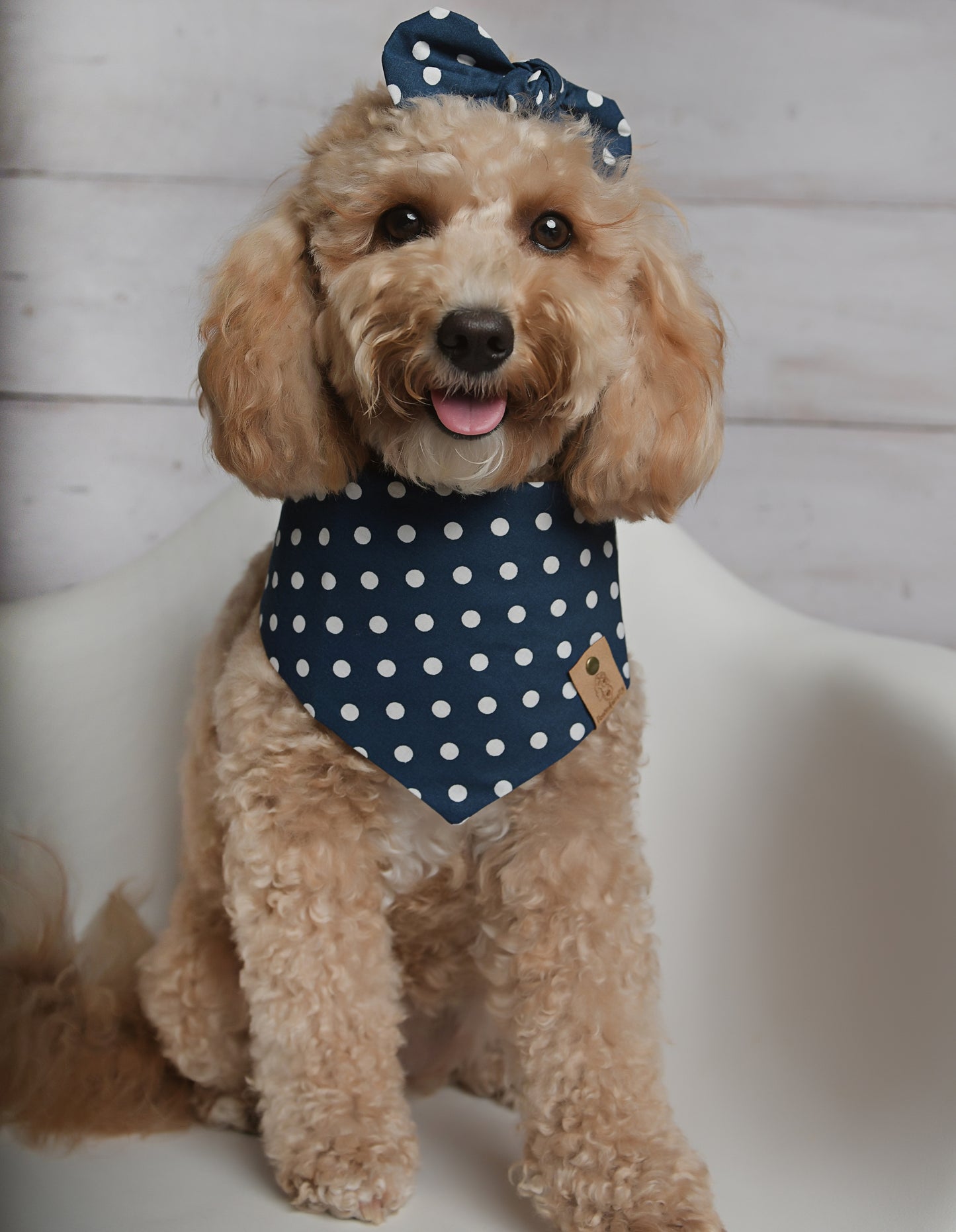 Navy Polka Dot Dog Bandana