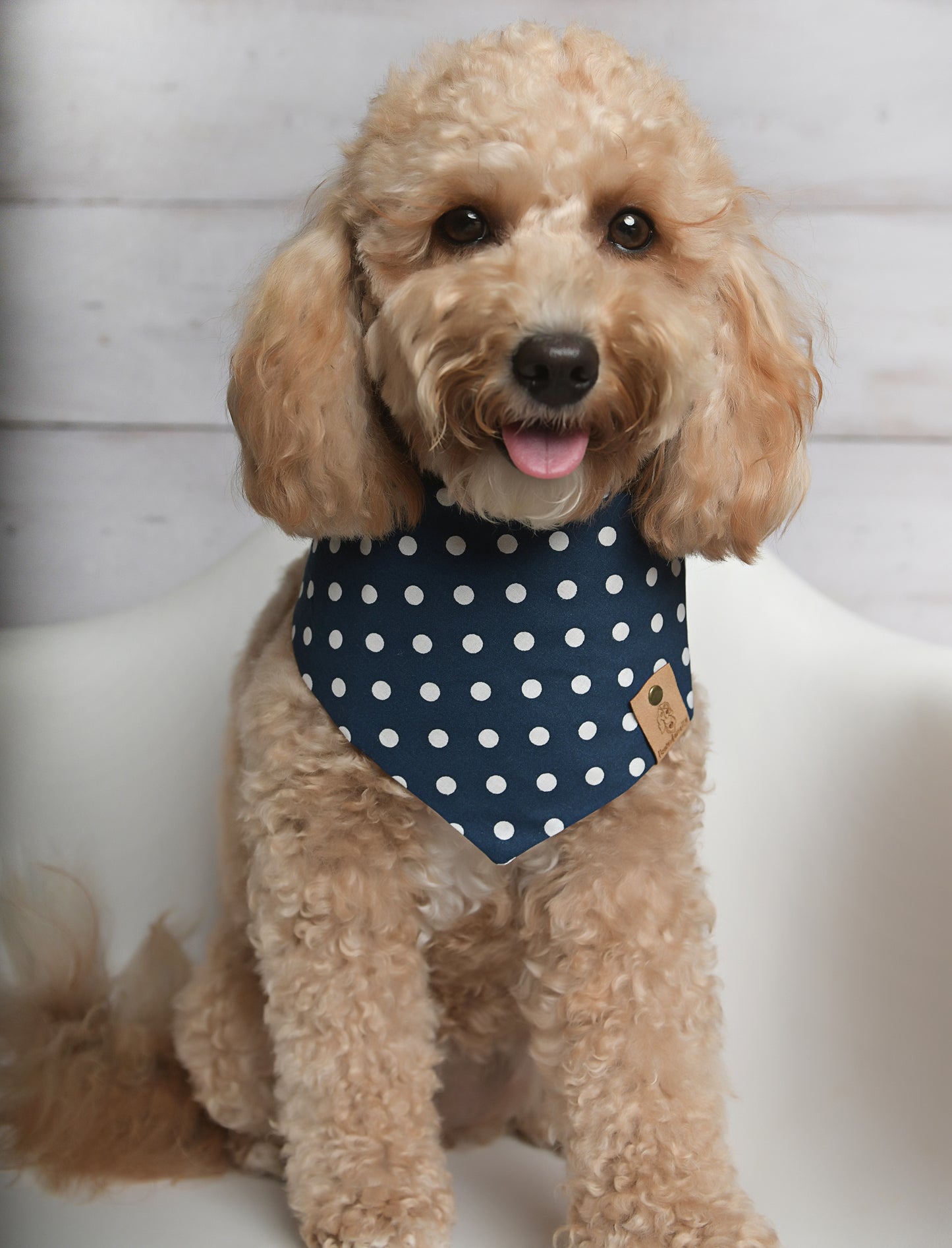 Navy Polka Dot Dog Bandana