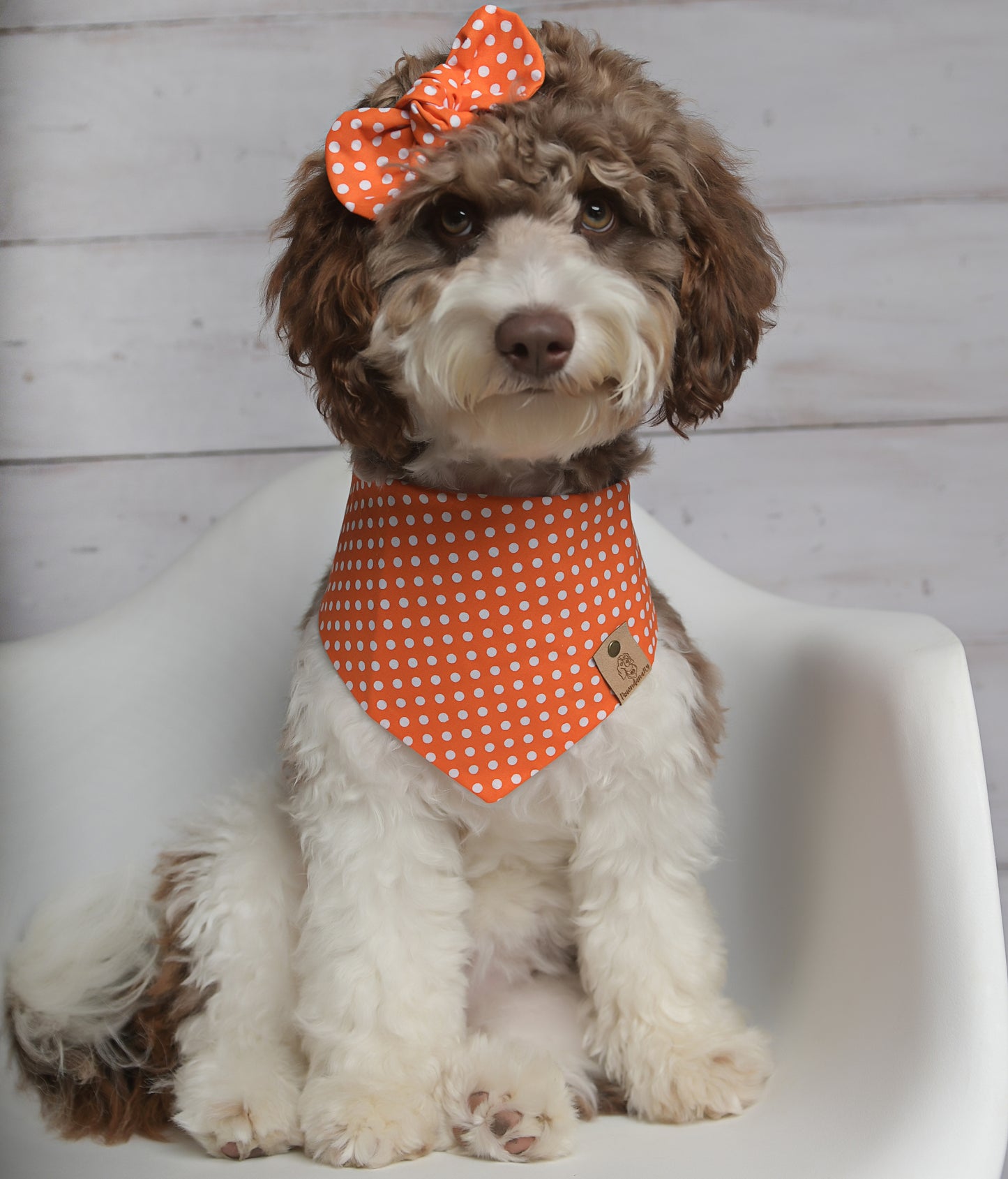 Orange Polka Dot Dog Bandana