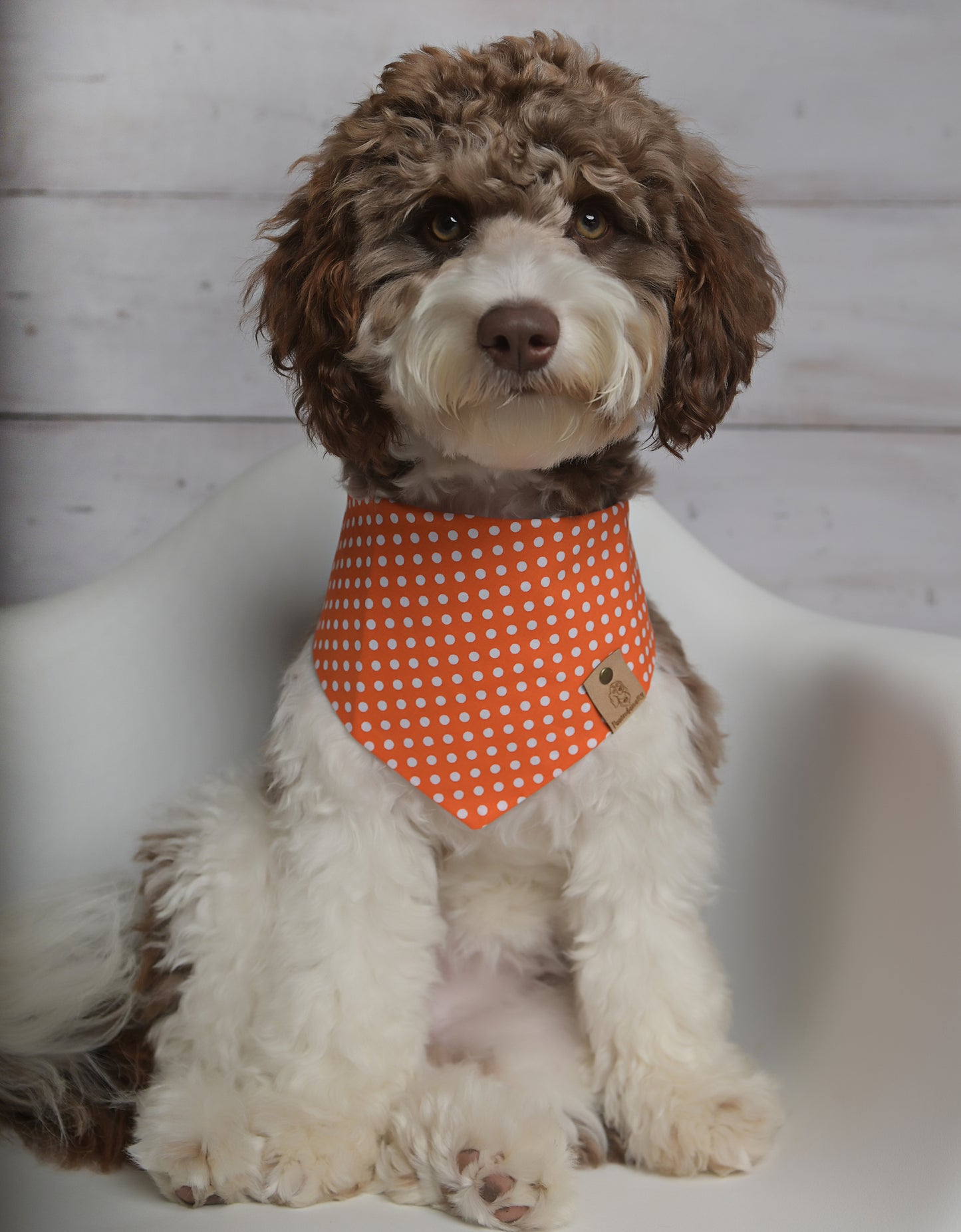 Orange Polka Dot Dog Bandana