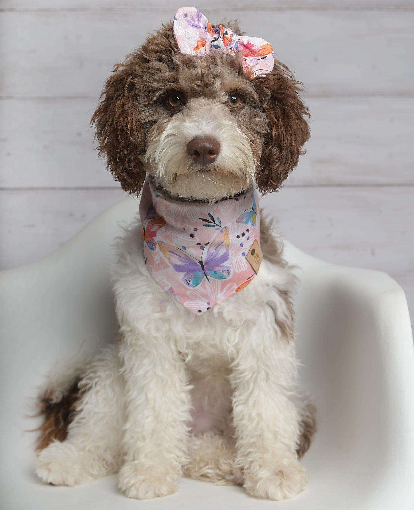 Sweet Butterfly Dog Bandana