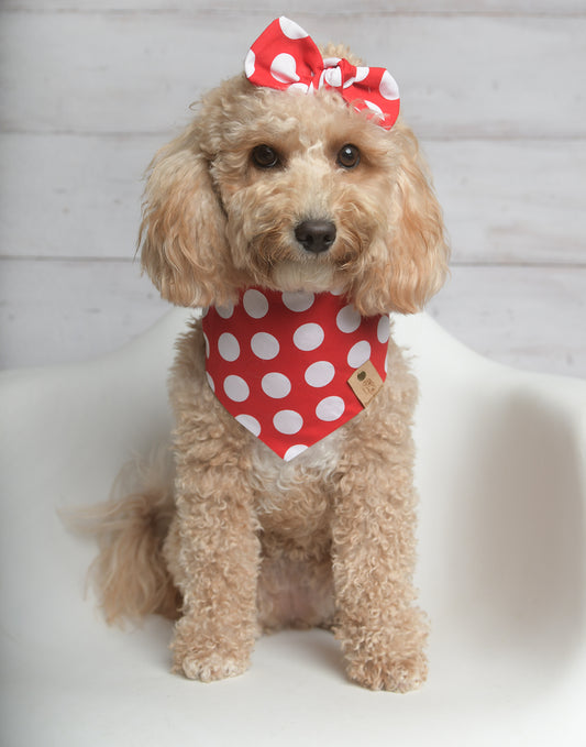 Red Polka Dog Bandana