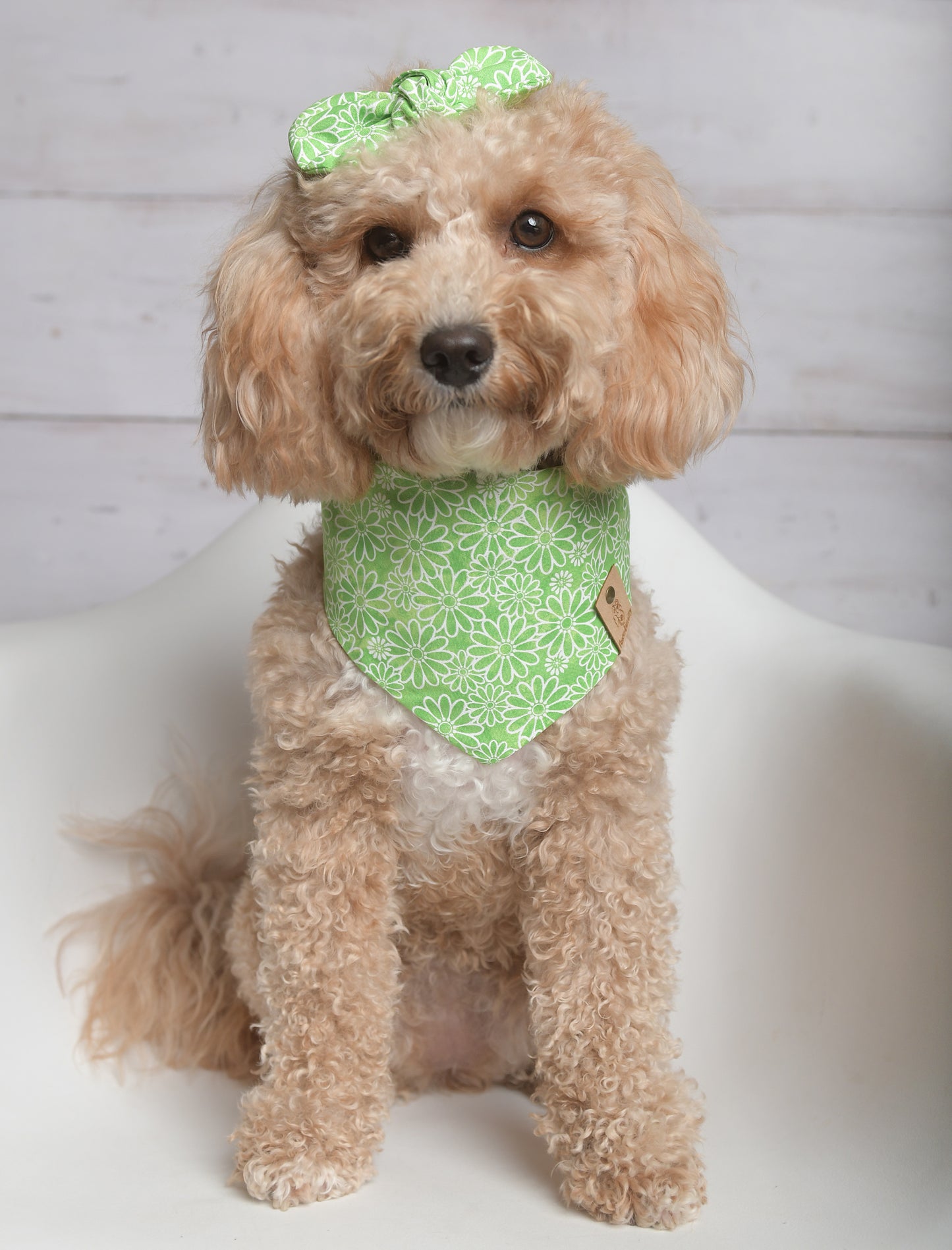 Green Floral Dog Bandana