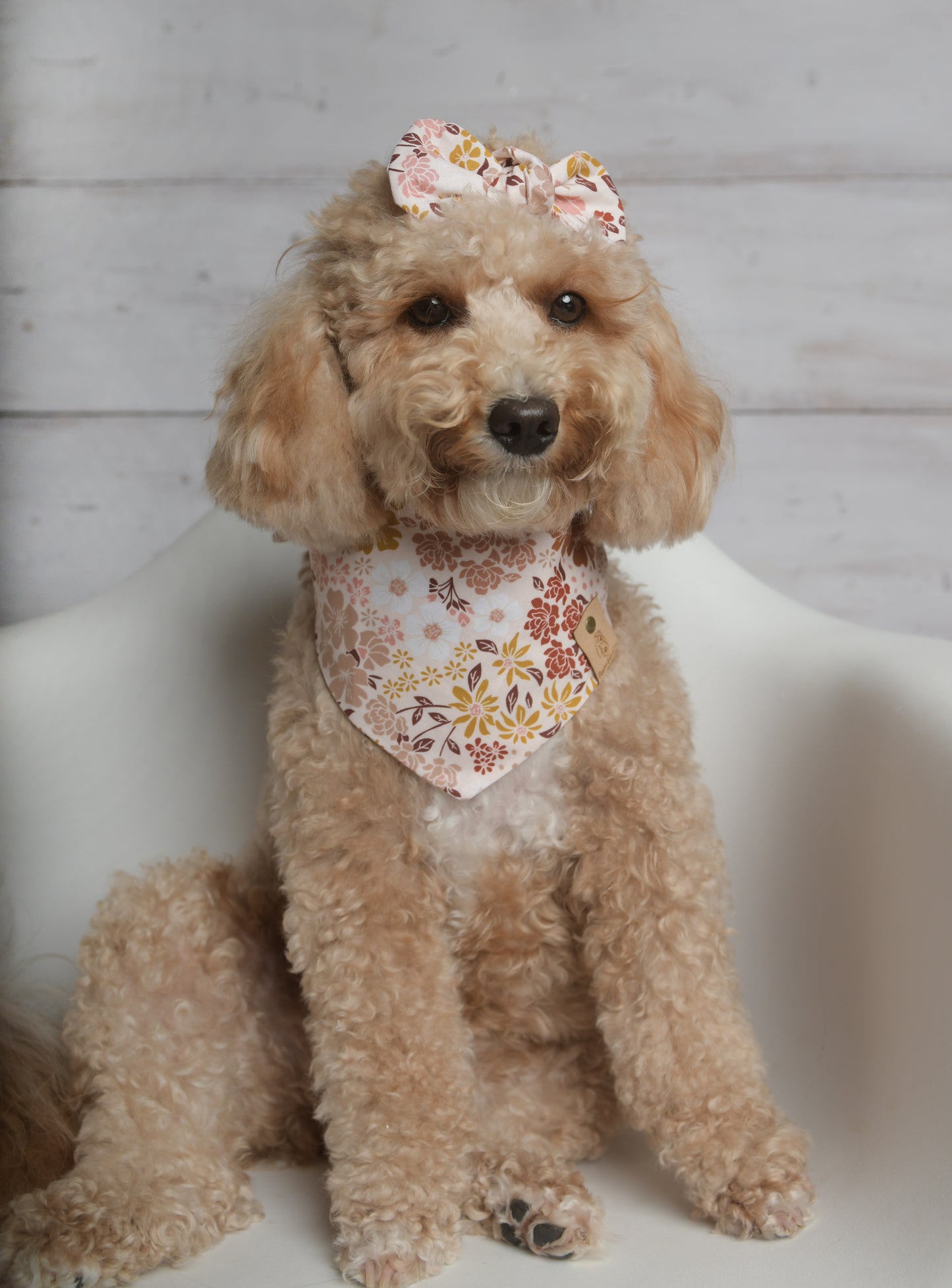 Boho Floral Dog Bandana