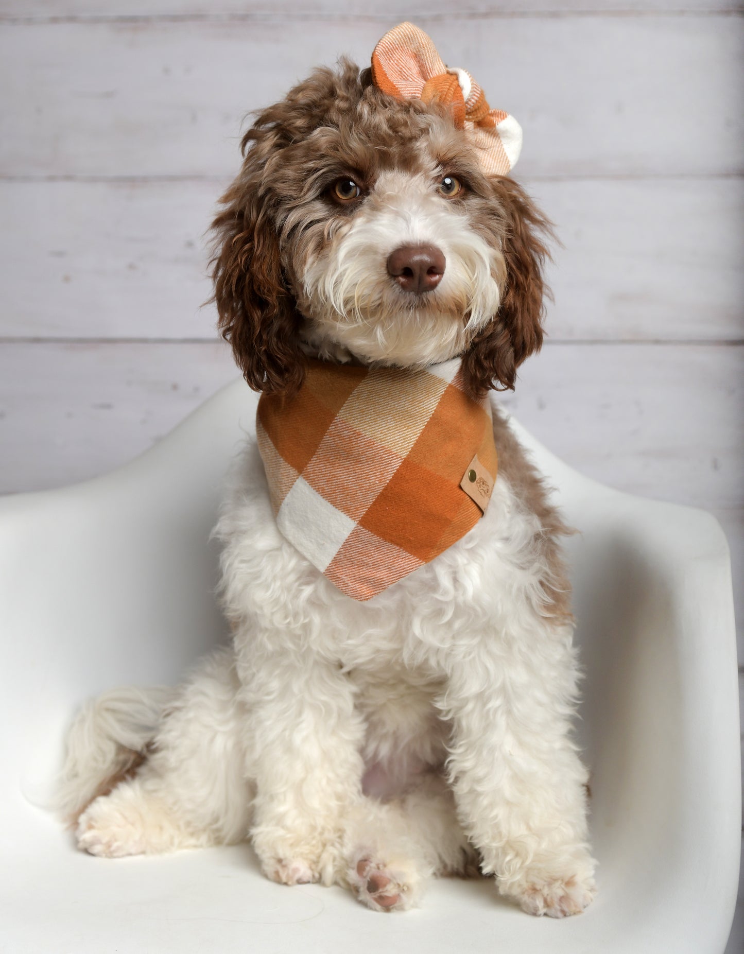 Caramel Plaid Dog Bandana - Flannel