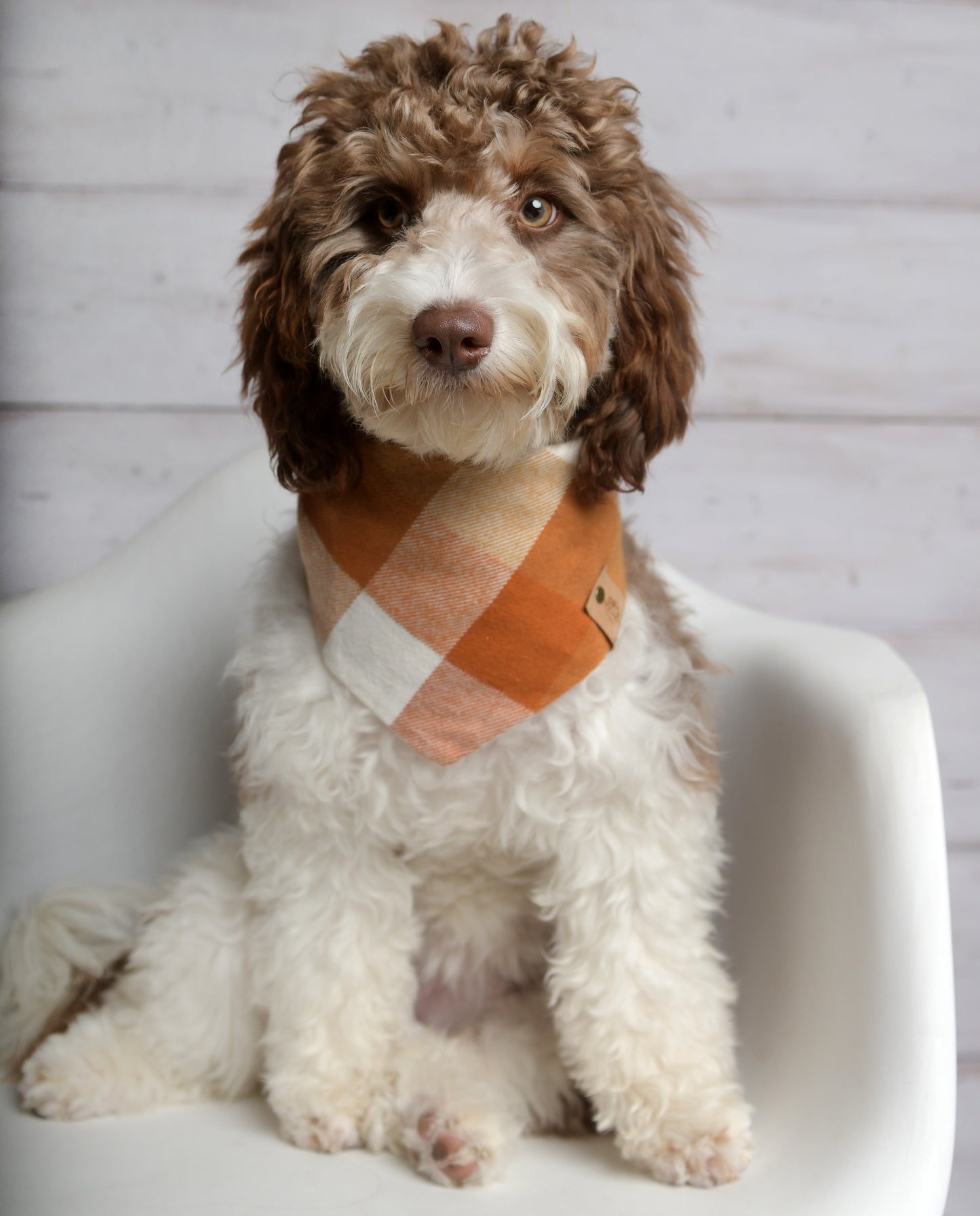 Caramel Plaid Dog Bandana - Flannel