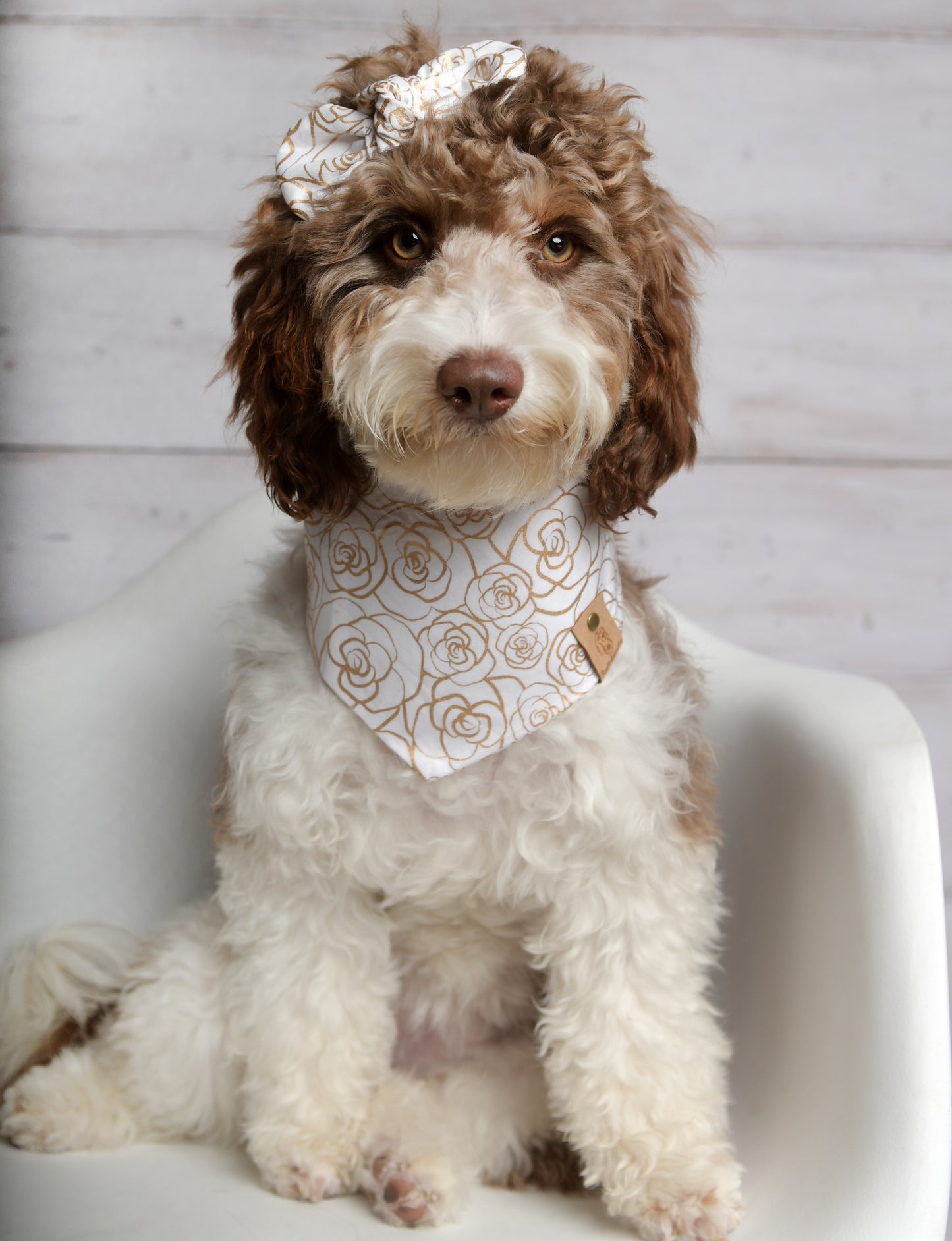 Gold Rose Dog Bandana