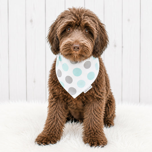 Teal Gray Polka Dog Bandana