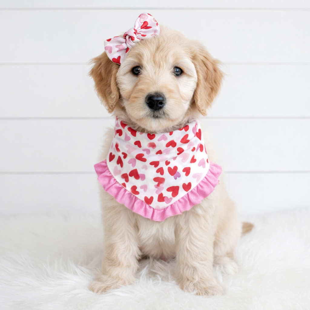 Valentine with Pink Ruffles Dog Bandana
