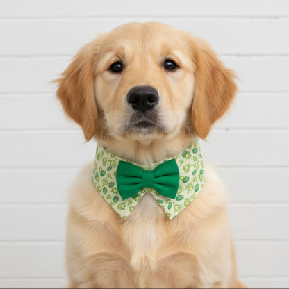 Frog Tuxedo Bow Tie Collar for Boys