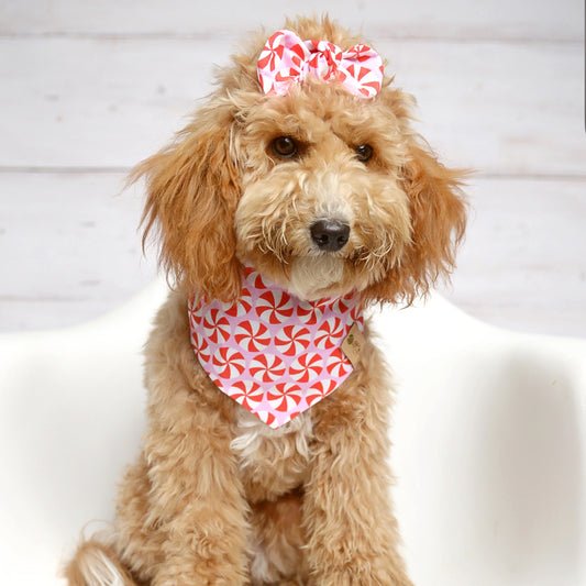 Peppermint Pink Dog Bandana