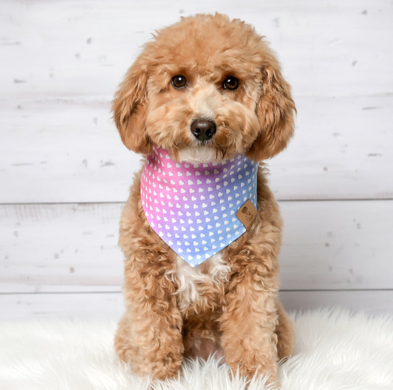 Ombre Hearts Dog Bandana