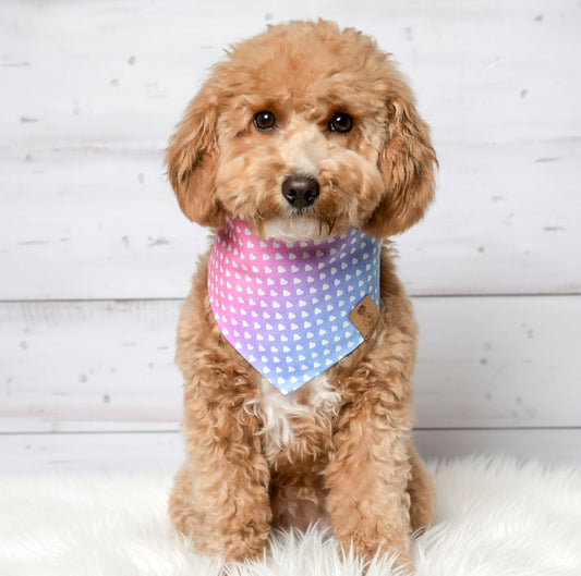 Ombre Hearts Dog Bandana