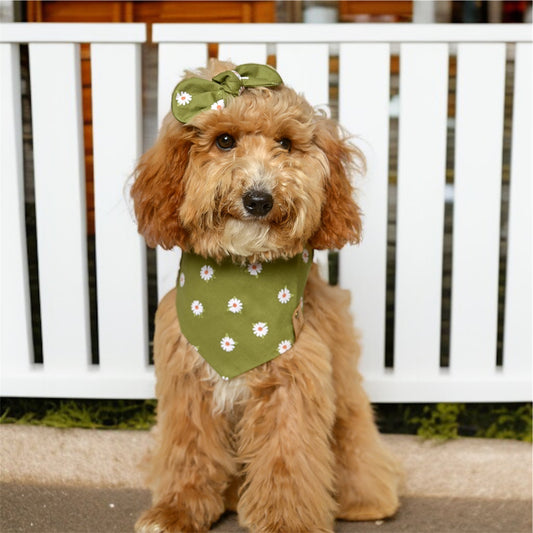 Olive Green Floral Dog Bandana