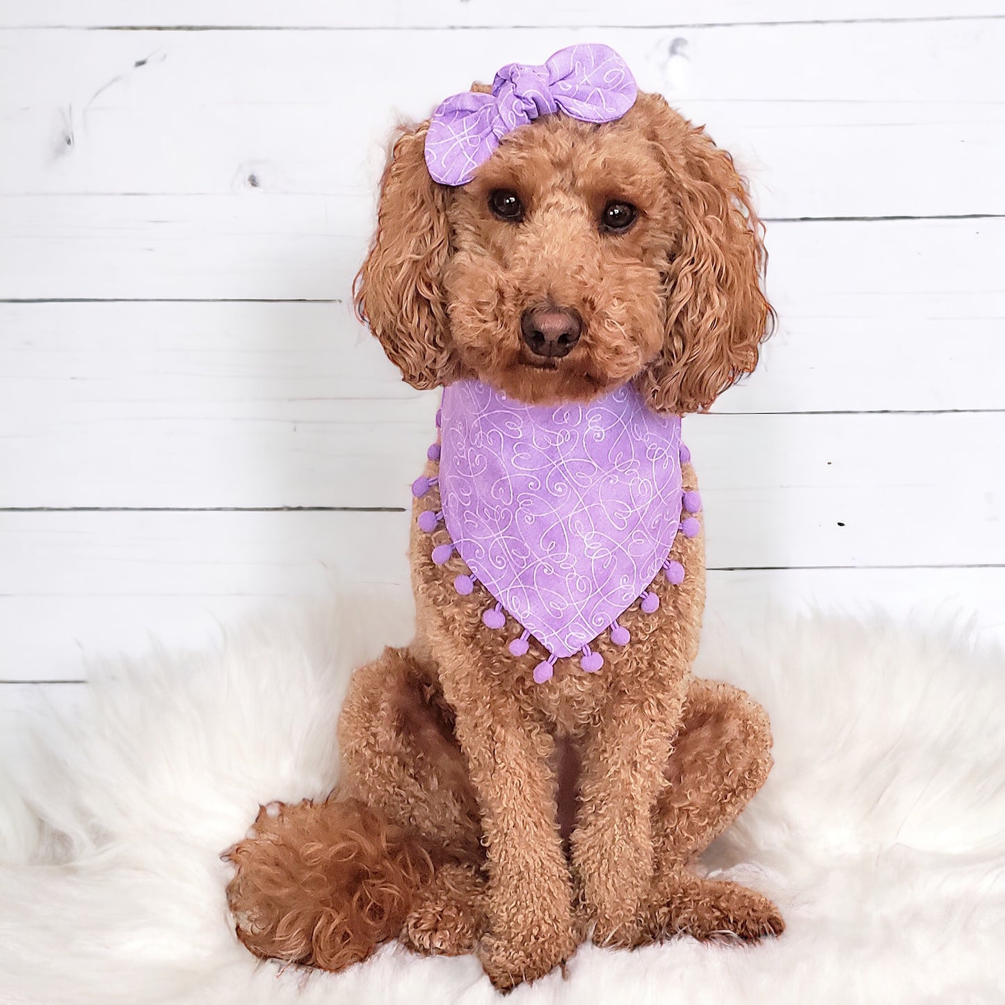 Lavender Pom Pom Dog Bandana