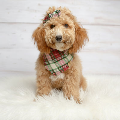 Red Lodge Plaid Dog Bandana