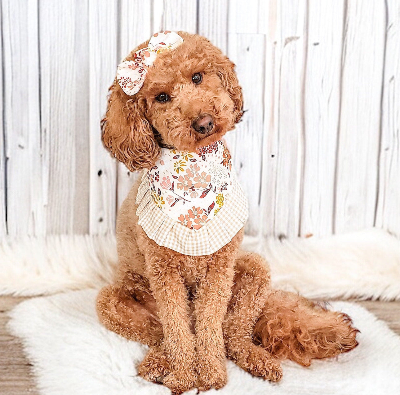 Boho Floral Ruffle Dog Bandana