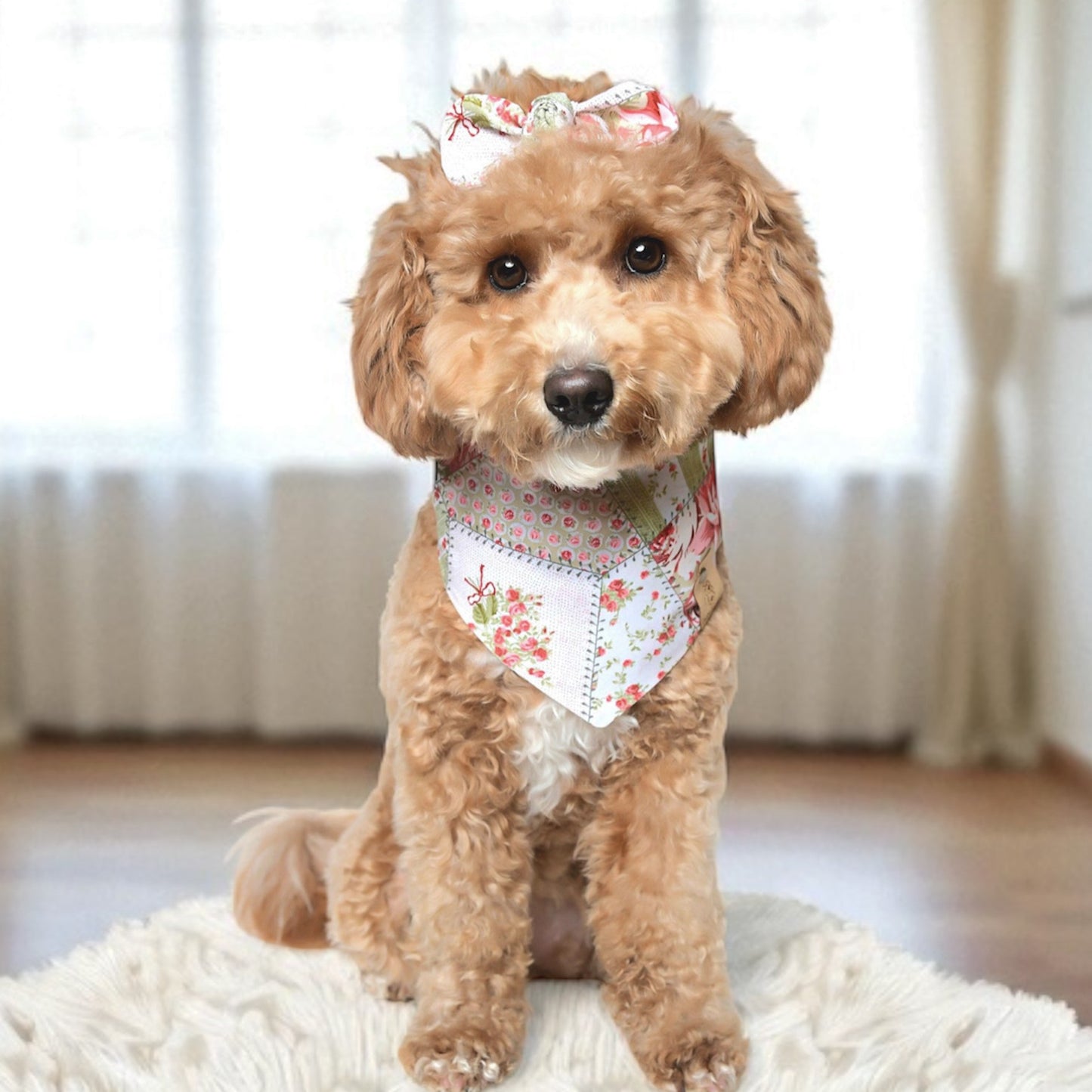 Sage Patch Dog Bandana