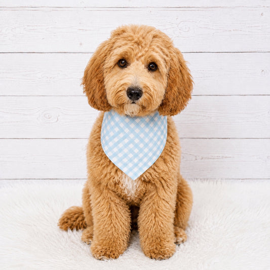 Blue Gingham Check Dog Bandana