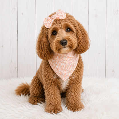 Peach Blush  Dog Bandana