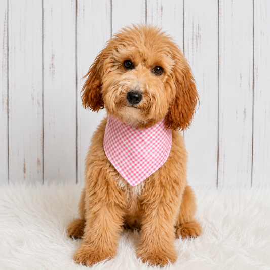 Pink Gingham Dog Bandana