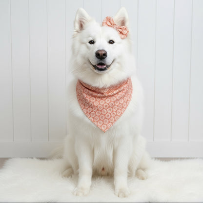 Peach Blossom Dog Bandana