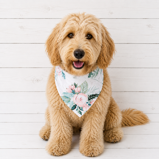 Roses Dog Bandana