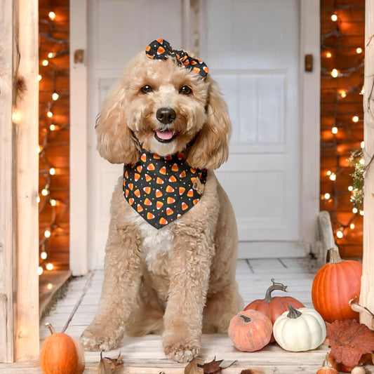 Halloween Candy Corn Dog Bandana