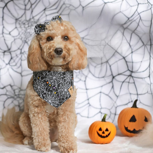 Spiderweb Halloween Dog Bandana