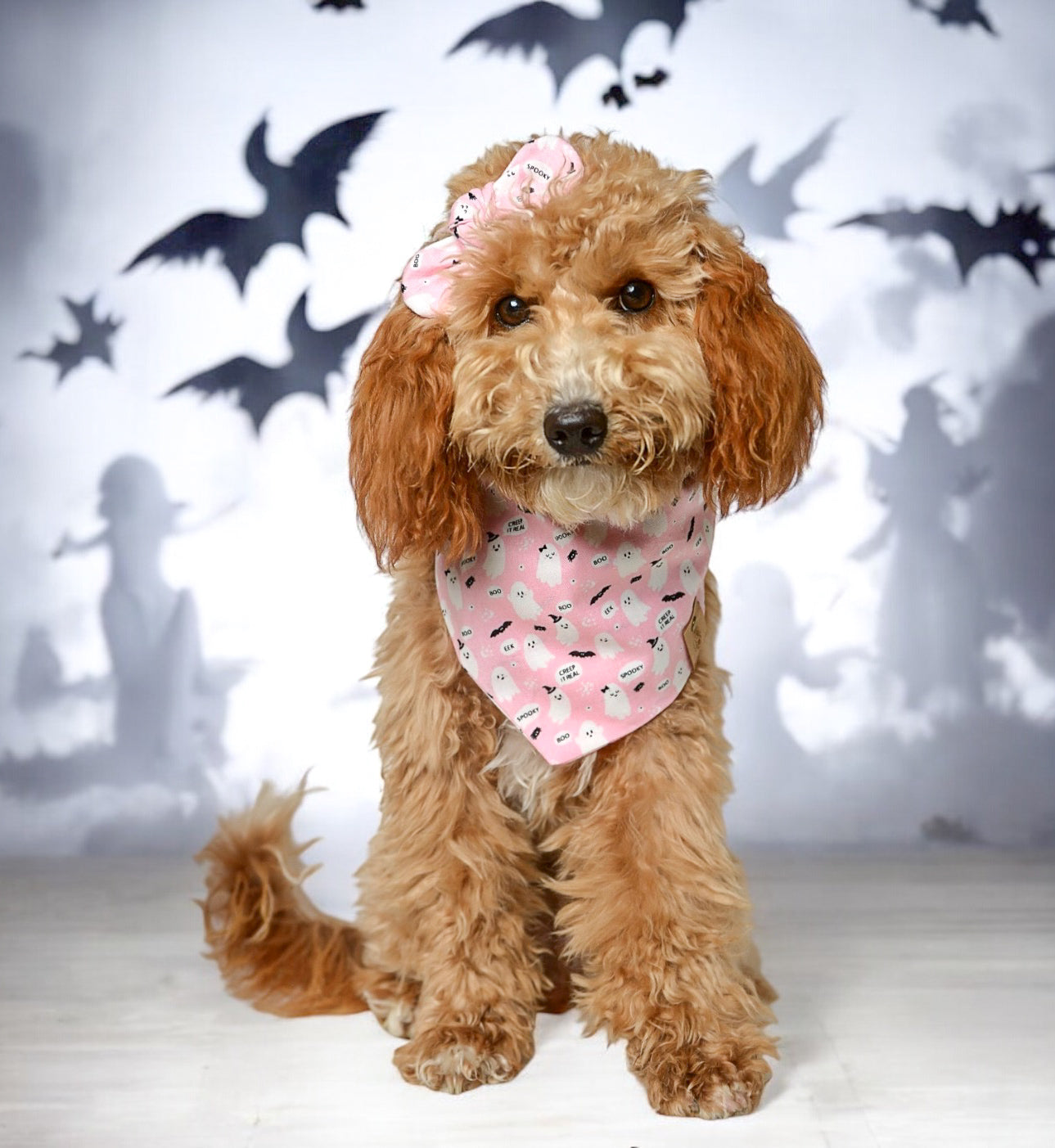 Halloween Boo Dog Bandana