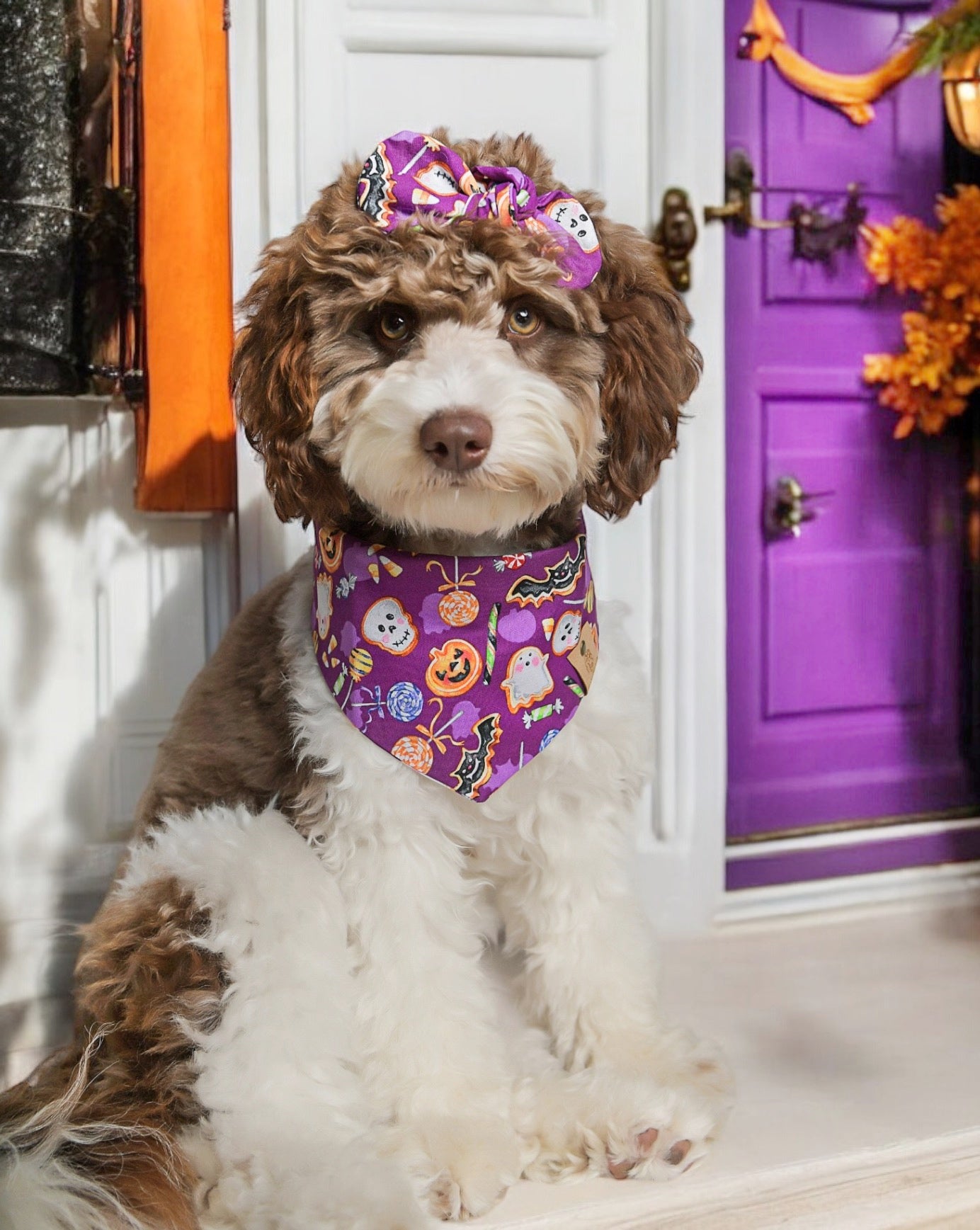 Haloween Cookie Treat Dog Bandana