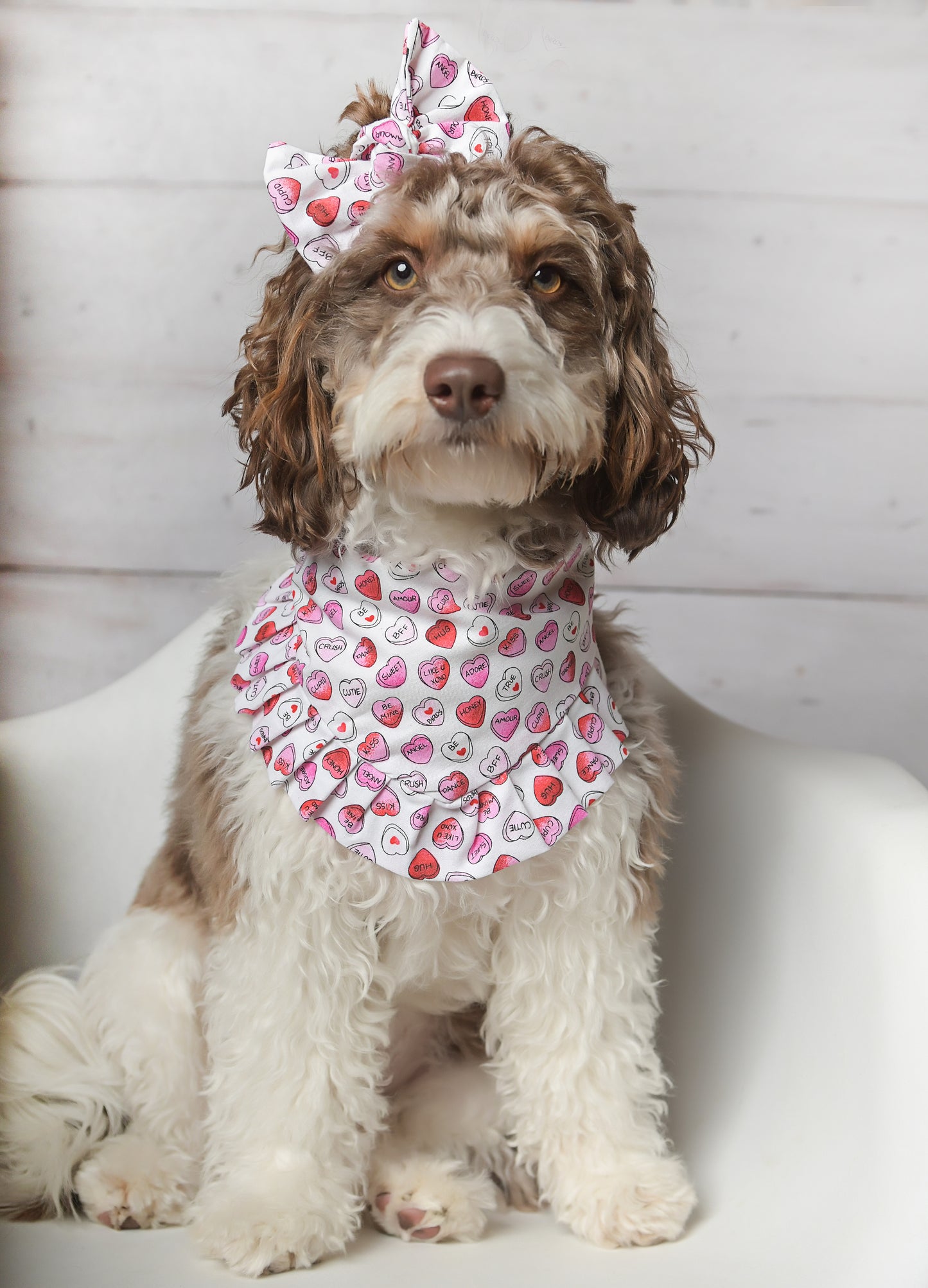 Candy Hearts Valentine Ruffles Dog Bandana