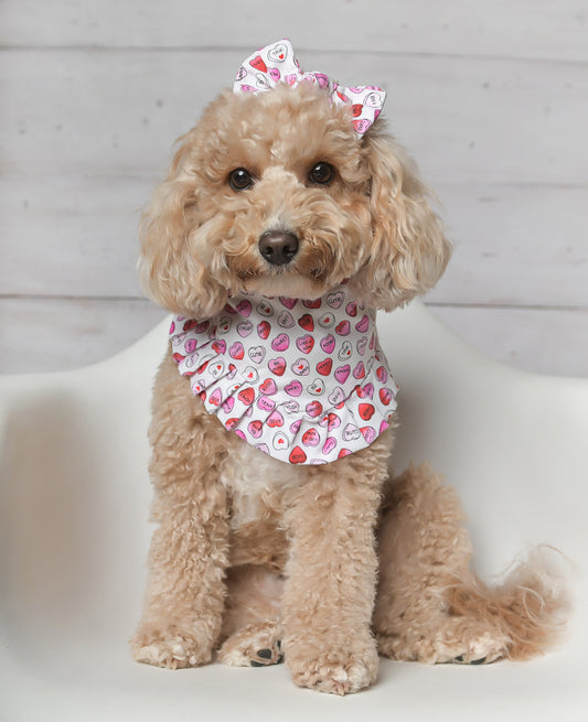 Candy Hearts Valentine Ruffles Dog Bandana